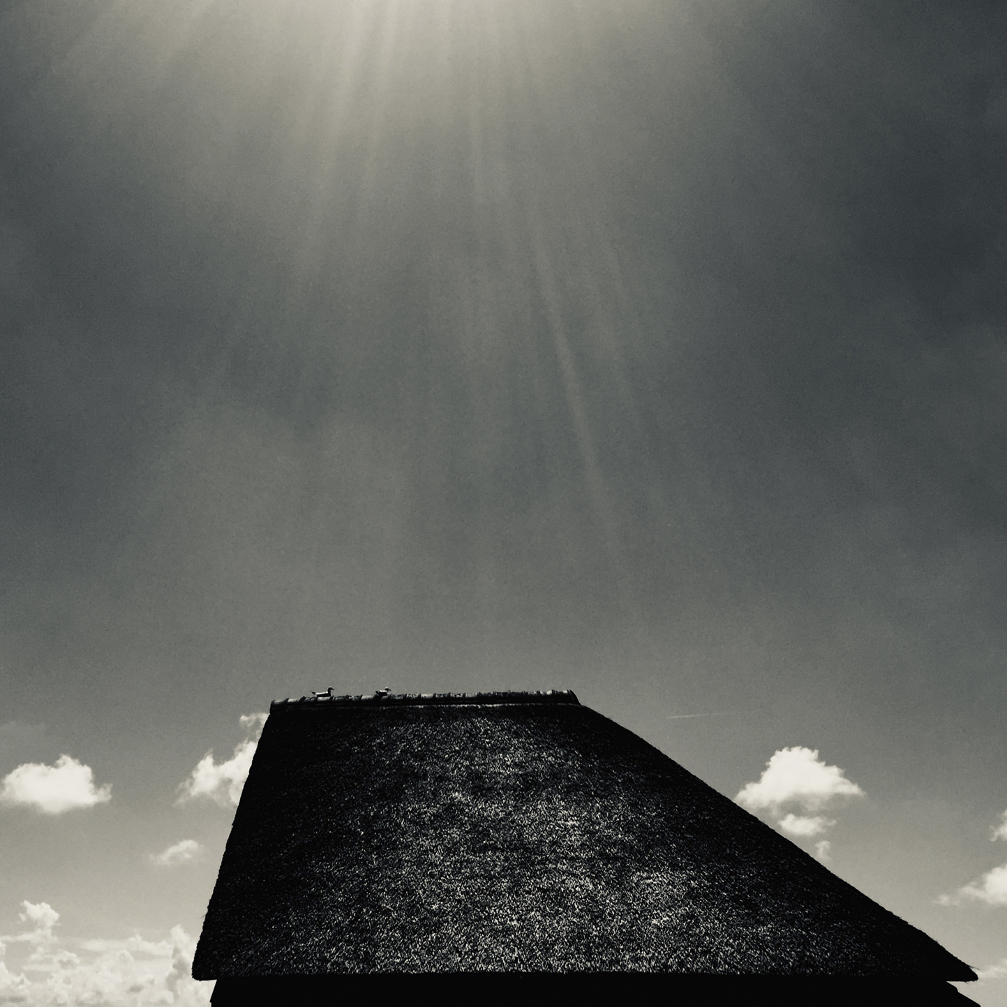 Texel, ein Fotoprojekt von Frank Sonnenberg, Fotograf in Wuppertal