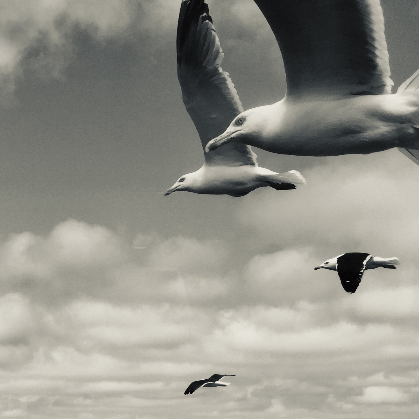 Texel, ein Fotoprojekt von Frank Sonnenberg, Fotograf in Wuppertal