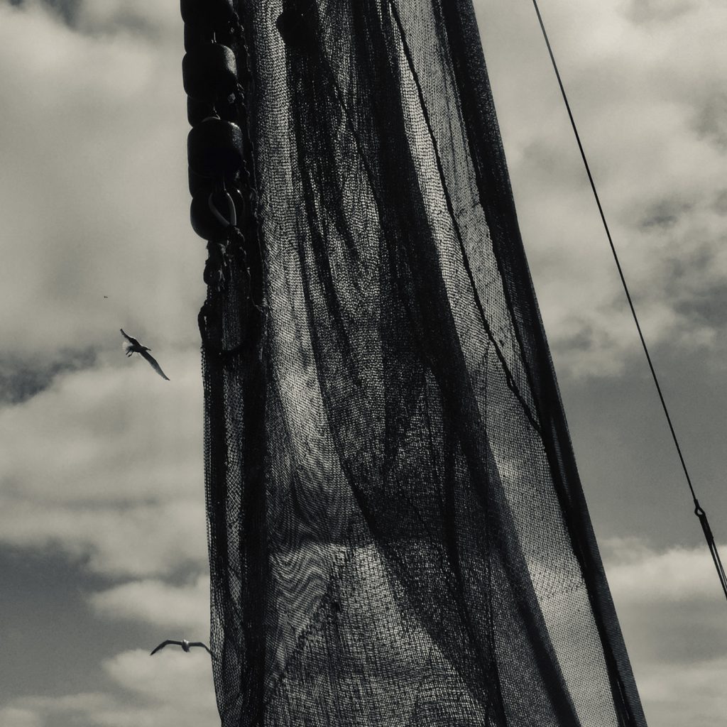 Texel, ein Fotoprojekt von Frank Sonnenberg, Fotograf in Wuppertal