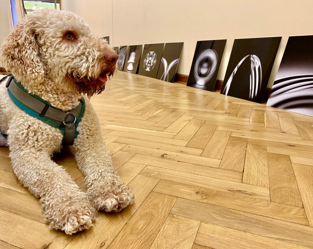 Fotoausstellung Refraktion von Frank Sonnenberg im Kultutzentrum Rathenow 2021