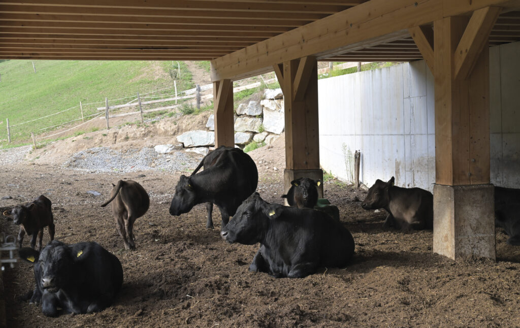 Offenlaufstall auf dem Oberen Schwärzenbachhof