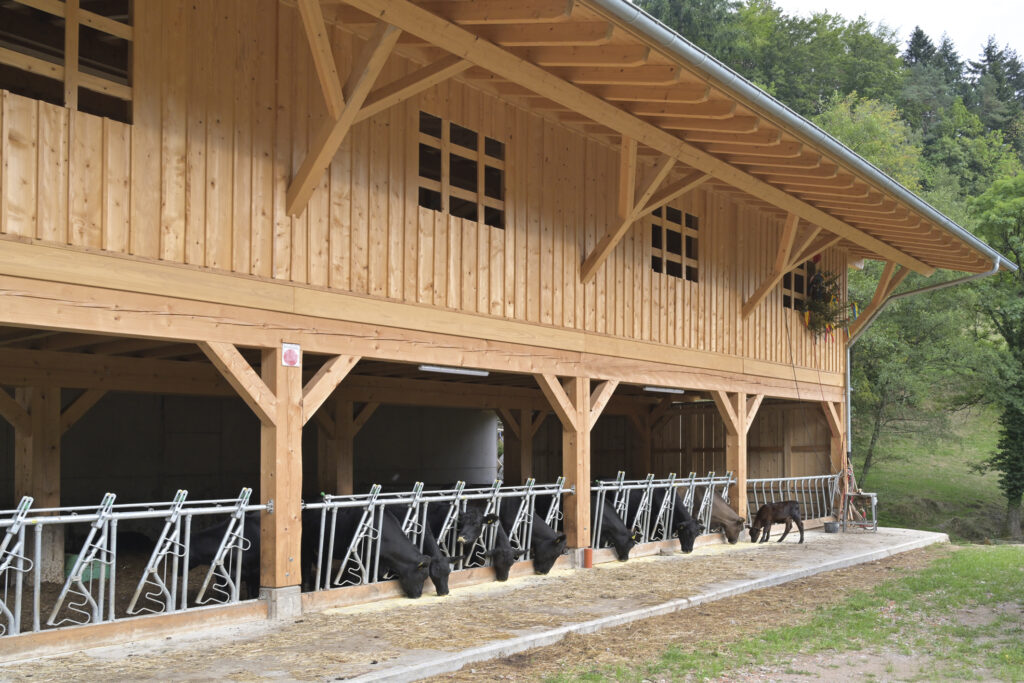 Offenlaufstall auf dem Oberen Schwärzenbachhof